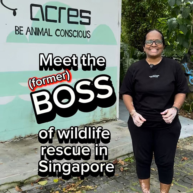 Otterman and Anbu on wildlife conservation