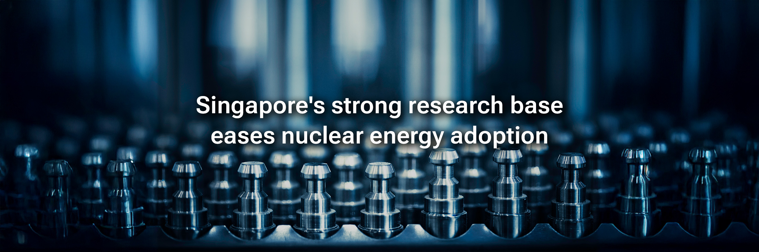 Singapore’s strong research base makes it easier for it to adopt nuclear energy