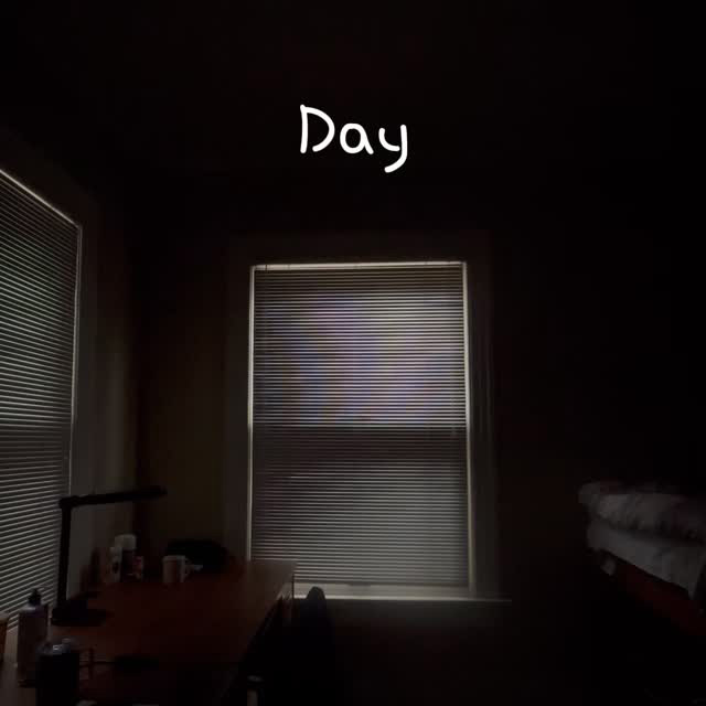 Day in the life of student exchange