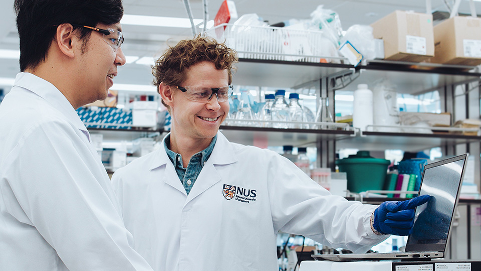 Unveiling a faster way to train bacteria for complex tasks